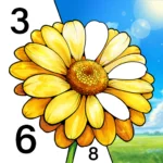 color-oasis-color-by-number.png